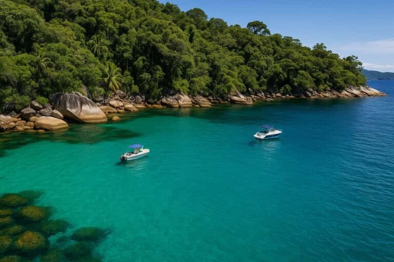 Check out the best islands in Paraty on an exclusive boat tour - Analyzing the Value