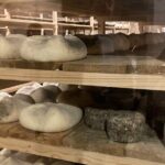 Cheese Factory Workshop with Wine Tasting in Requena, Valencia - A Deep Dive into the Experience