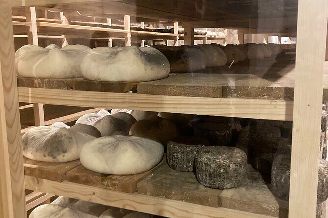 Cheese Factory Workshop with Wine Tasting in Requena, Valencia - A Deep Dive into the Experience