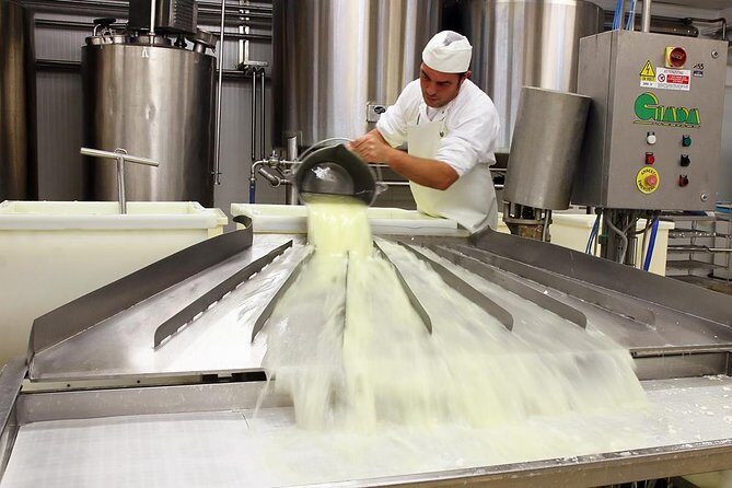 Cheesemaker for a day & visit to the dairy - What to Expect from This Sardinian Cheese Tour
