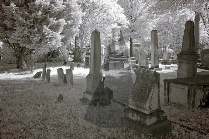 Cheesman Park Ghost Tour - How Does the Price Match the Experience?