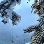 Chena Hot Spring Day Tour - Is It Worth It?