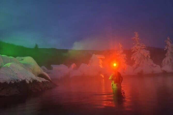 Chena Hot Spring Day Tour - Who Is This Tour Best For?