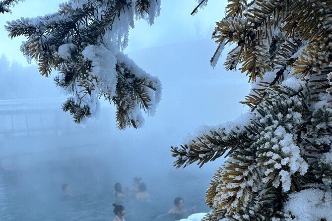 Chena Hot Spring Day Tour - Is It Worth It?
