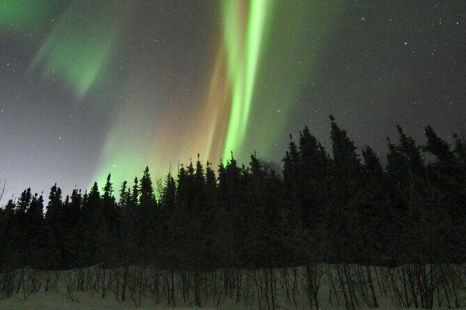 Chena Hot Springs Northern Lights Aurora Borealis From Fairbanks - The Itinerary Breakdown: What to Expect