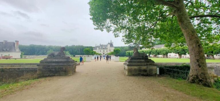 Chenonceau Castle: Private Guided Tour with Entry Ticket - Who Should Consider This Tour?