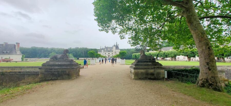 Chenonceau Castle: Private Guided Tour with Entry Ticket - Who Should Consider This Tour?