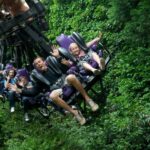 Chessington World of Adventures Resort: Entrance Ticket - The Reviews and What They Say