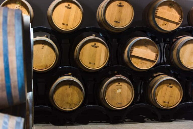 Chianciano Terme: Guided Winery Tour & Wine Tasting - The Human Touch