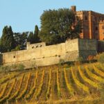 Chianti and Castle Small Group Tour from San Gimignano - What We Loved About This Tour