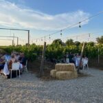 Chianti and Castles Tour From San Gimignano - The Reality: Pros and Cons