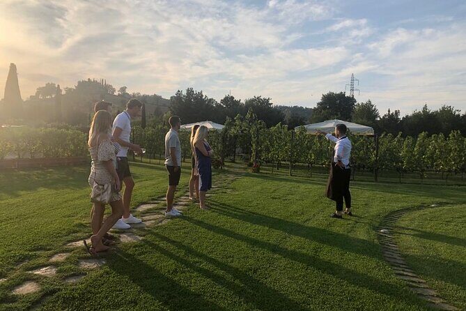 Chianti and San Gimignano - 2 Wineries with Pairing Lunch - Honest Look at the Pros and Cons