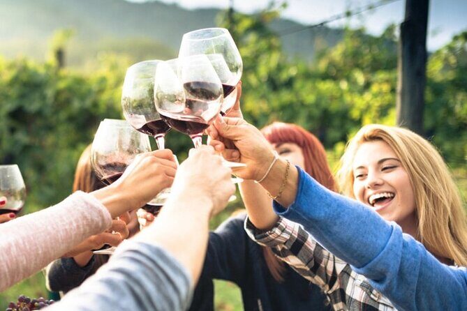 Chianti Classico wine Tour and Tasting - Who Is This Tour Best For?