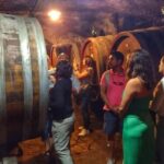 Chianti: eno-excursion through the vineyards - Whats Included and Whats Not