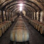 Chianti from Florence:PRIVATE Wine, Olive Oil Tasting in the Tuscan countryside - What You Can Expect from This Tour