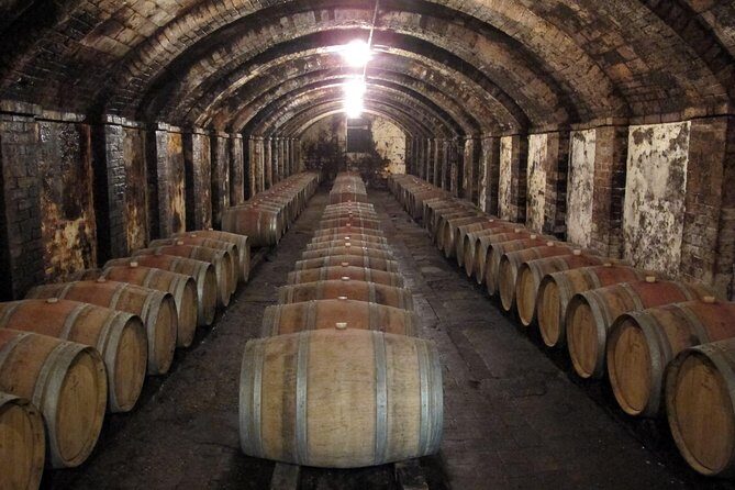 Chianti from Florence:PRIVATE Wine, Olive Oil Tasting in the Tuscan countryside - What You Can Expect from This Tour