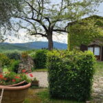 Chianti Half Day Wine Tour from Florence - Frequently Asked Questions