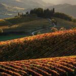 Chianti Half-day Wine Tour in the Tuscan's Hills from Pisa - The Authentic Touch and Genuine Reviews