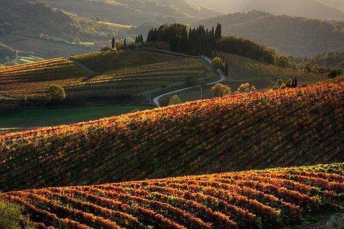 Chianti Half-day Wine Tour in the Tuscan's Hills from Pisa - The Authentic Touch and Genuine Reviews