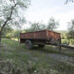 Chianti Organic wine tasting - Final Thoughts