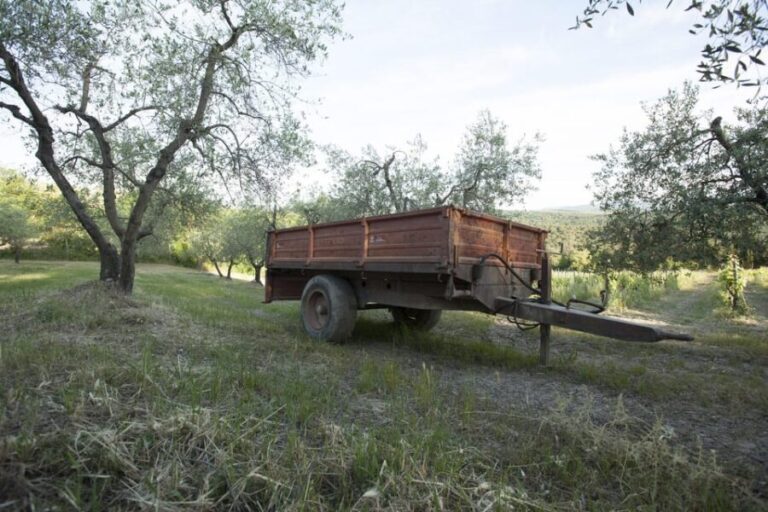 Chianti Organic wine tasting - Final Thoughts