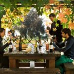 Chianti Rufina: Organic and biodynamic winery tour with tasting - An In-Depth Look at the Experience
