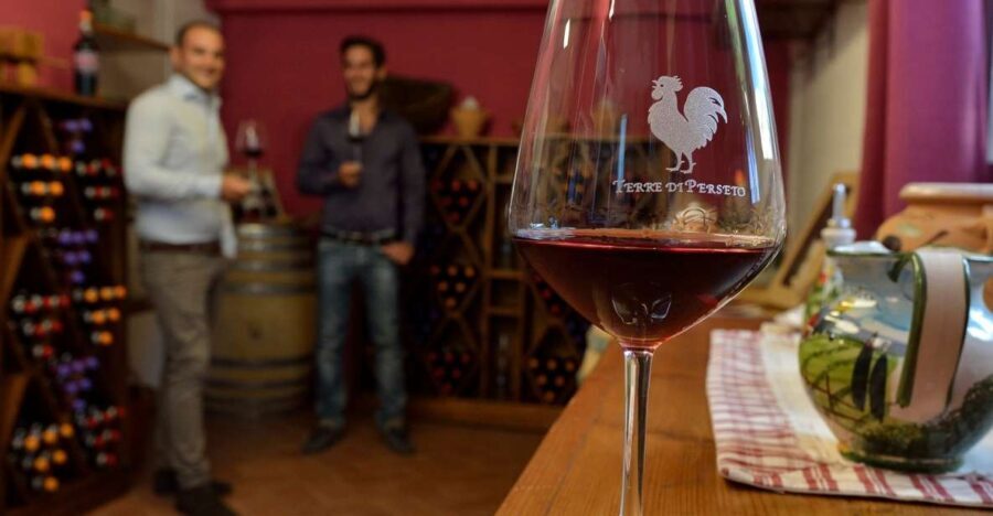 Chianti: Terre Di Perseto Winery Guided Tasting & Tour - Final Thoughts: Is It Worth It?