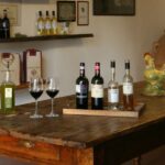 Chianti: Wine and Olive Oil Tasting with Cellar Tour - The Practicalities