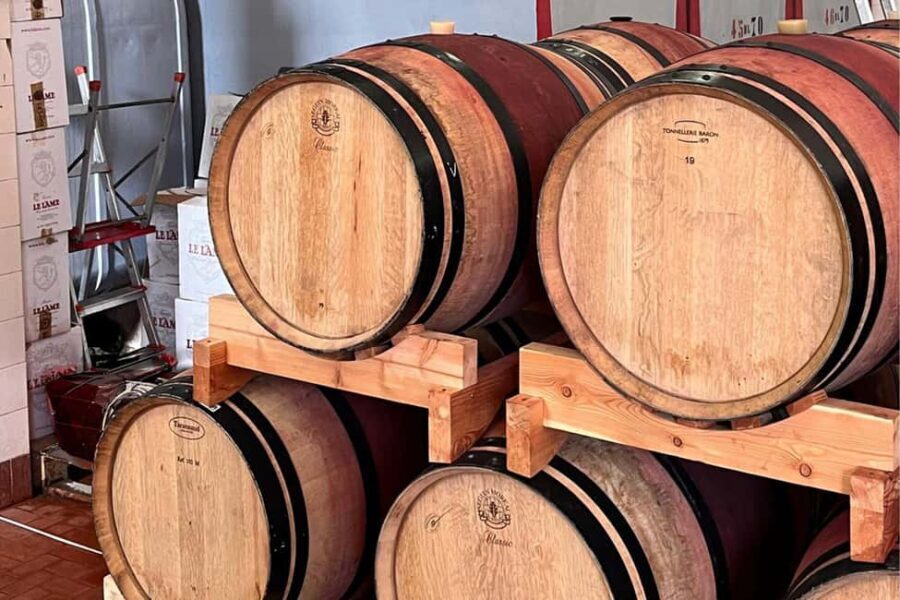 Chianti Winery + Brolio Castle Private Tour - Breaking Down the Itinerary