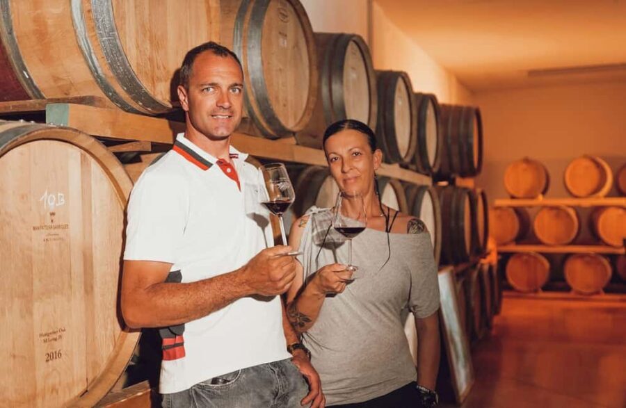 Chianti Winery Tour with Wine & Food Tasting near Florence - The Tasting & Food Pairings