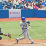 Chicago Cubs Baseball Game Ticket at Wrigley Field - The Reviews: What Travelers Say