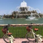 Chicago Lakefront Electric Bike Tour - Practical Details and Considerations