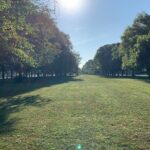 Chicago's Midway, Movies, and the 1893 World's Fair Walking Tour - What’s Included and What’s Not