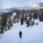 Chickadee Ridge Beginner Snowshoe Activity - The Benefits of a Guided, Private Tour