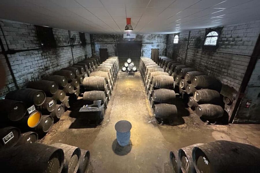 Chiclana de la Frontera: Winery Tour with Wine Tasting - What to Expect and What Not to Expect