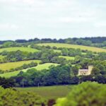 Chilterns: All inclusive Vineyard Tour with Tastings & Lunch - Practical Details & Considerations