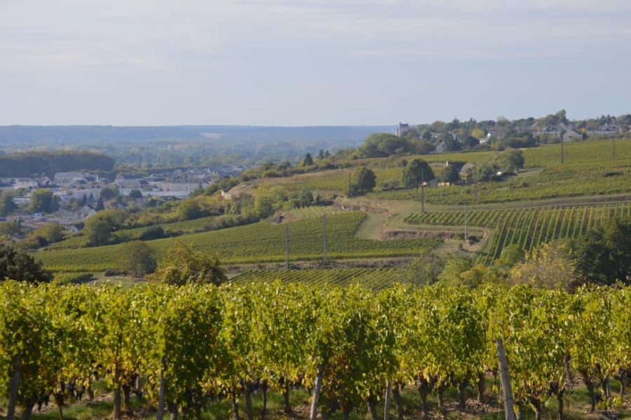 Chinon : Prestige Tours and Wine Tasting - The Value and Who It’s For