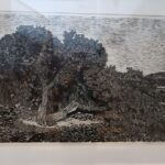 Chios: Mastiha shore excursion - Who Will Love This Tour?