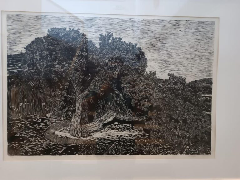 Chios: Mastiha shore excursion - Who Will Love This Tour?