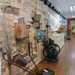 Chios: Orange Farm Trip & Tasting - Citrus museum visit - What travelers are saying