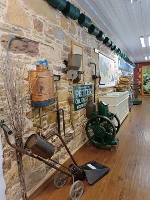 Chios: Orange Farm Trip & Tasting - Citrus museum visit - What travelers are saying