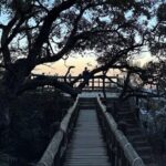 Chipinque Natural Park - Morning / Afternoon Hike (Group/Private) - Who Is This Tour Best For?