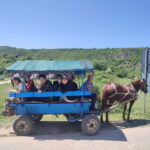 Chisinau: Cricova Winery, Curchi Monastery, & Old Orhei Tour - The Experience: What Youll Love