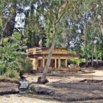 Chlemoutsi caste - Kyllini shore excursion from Katakolon port - How the Tour Works in Practice