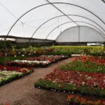 Cholula and Atlixco tour (private tour) - Structuring Your Day