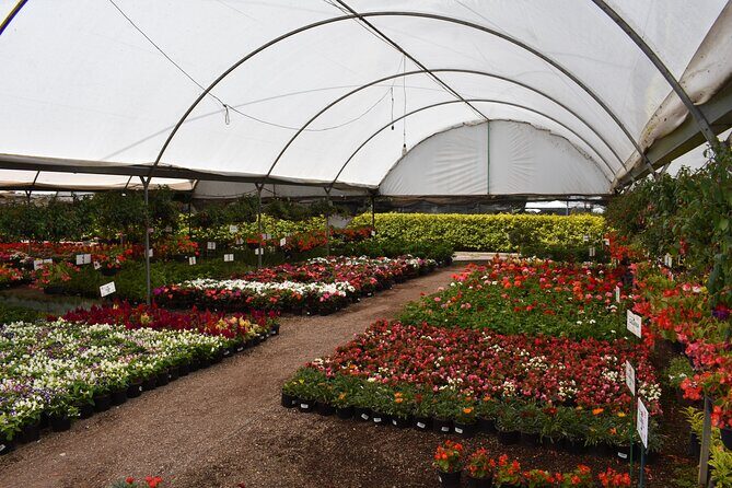 Cholula and Atlixco tour (private tour) - Structuring Your Day