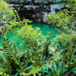 Choose your experience to live in Los 7 Cenotes San Gerónimo - The Guides and the Experience