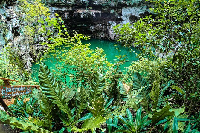Choose your experience to live in Los 7 Cenotes San Gerónimo - The Guides and the Experience
