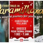 Christmas in Paramithoxora Entry Ticket - Authentic Visitor Insights