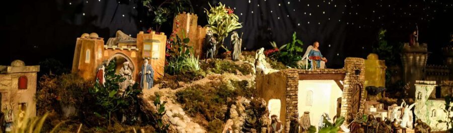 Christmas in Santiago de Compostela: a tour among lights and stone - What Makes This Tour Special